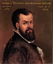 Porträt von Andre Vesale (Andreas Vesalius) (1514-1564), Anatom und Arzt von Karl V. 16. Jahrhundert Padua, Universität