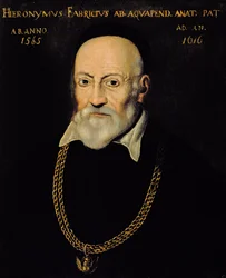 Porträt von Hieronymus Fabricius