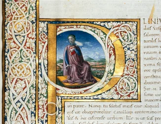 Porträt von Plinius dem Älteren