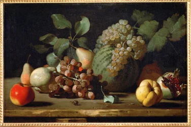 Stillleben mit Trauben und Granatapfel