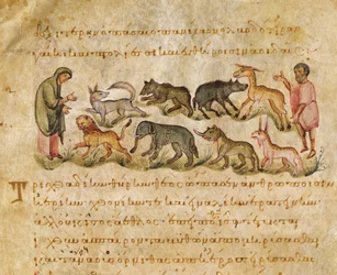 Abhandlung über die vielen Tierarten, die die Erde bewohnen, Illustration aus der Cynegetica von Oppian