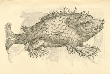 Illustration von Monstrosus Sur marinus aus Aldrovandis Geschichte der Monster, 1642
