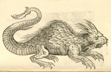 Illustration von Orobonis Piscis effigies aus Aldrovandis Geschichte der Monster, 1642