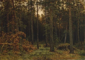 Kiefernwald, 1885