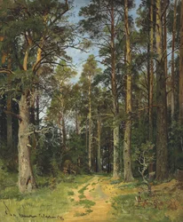Siwerskaja, 1896
