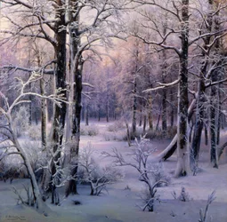 Raureif, 1906