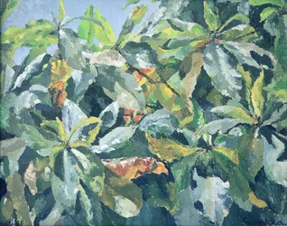 Pflanzen, 1961