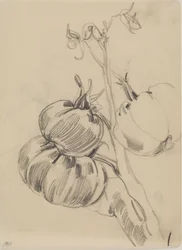 Früchte