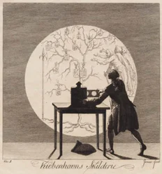 "Kiøbenhavns Skilderie", Nr. 1