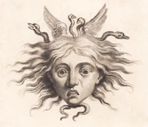 Medusakopf