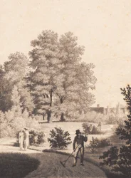 Nordfeldts Garten