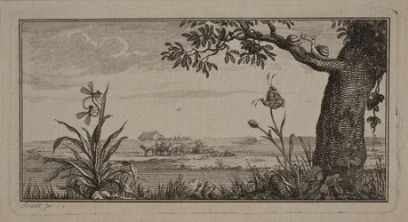 Blick über eine flache Landschaft, im Vordergrund Pflanze mit Insekten und Baum mit Schnecken