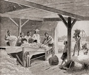 Sklaven bei der Arbeit an einer Baumwollentkörnungsmaschine des 19. Jahrhunderts auf einer Plantage in einem Südstaat der Vereinigten Staaten von Amerika, aus „The History of Our Country“, veröffentlicht 1905