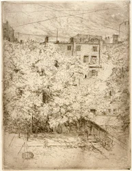 Mein Hinterhof Nr. 2