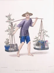 Ein Träger mit Obstbäumen und Blumen, ca. 1800-01