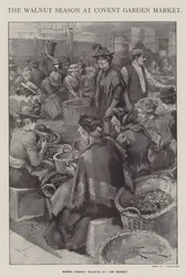 Die Walnuss-Saison auf dem Covent Garden Market, London