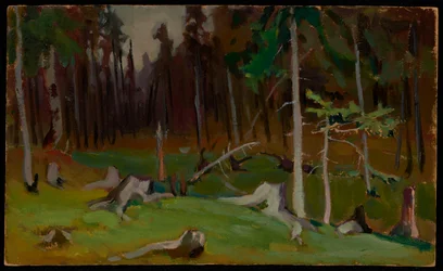 Waldlichtung