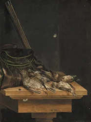 Tote Vögel