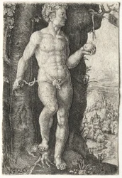 Adam, 1526