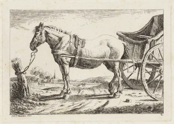 Stehendes Pferd, vor einen Wagen gespannt