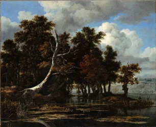 Eichen an einem See mit Seerosen