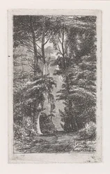 Waldweg