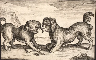 Zwei kleine Hunde