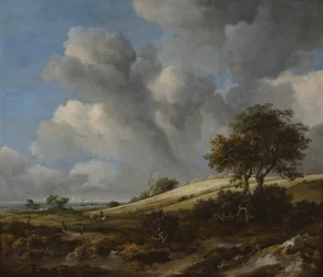 Ein Kornfeld mit dem Zuiderzee im Hintergrund, ca. 1660