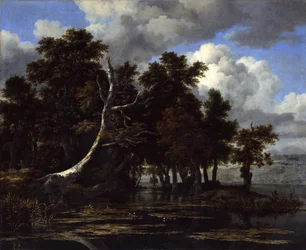 Eichen an einem See mit Seerosen