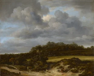 Das Kornfeld