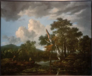 Waldlandschaft mit einem Teich