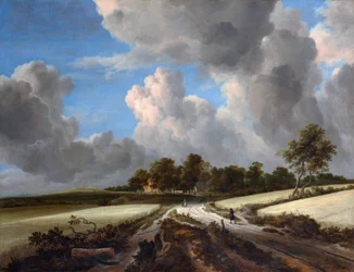 Weizenfelder