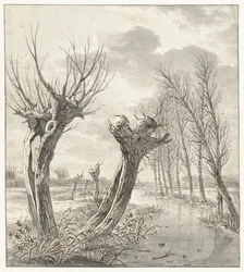 Winterlandschaft mit Kopfweiden entlang eines gefrorenen Grabens