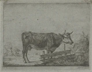 Kuh, stehend am Zaun