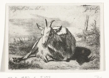 Liegende Ziege, nach links