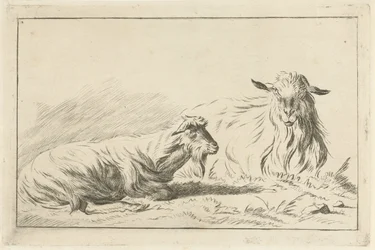 Zwei liegende Ziegen