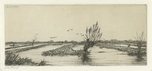 Moorsee