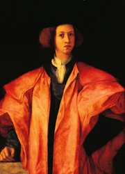 Porträt eines jungen Mannes, vielleicht Amerigo Antinori, ca. 1530, von Jacopo Carucci, bekannt als Pontormo (1494-1557), Öl auf Holz