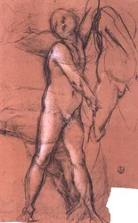 Studie eines Engels, der einen Vorhang für die 