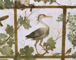 Ibis, aus einem Fresko einer Voliere in der Villa Medici, ca. 1576-77