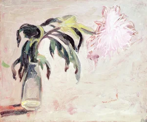 Eine Chrysantheme in einer Flasche