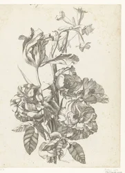 Blumenstrauß mit Pfingstrosen, einer Tulpe und einer Brodiaea