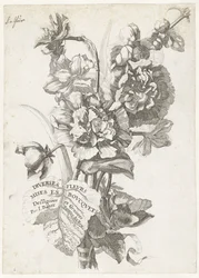 Titelblatt mit einem Blumenstrauß aus Pfingstrosen