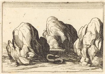 Schlange