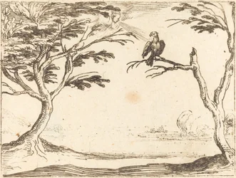 Der Geier