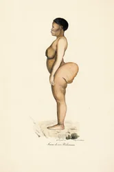 Frau der Boschman-Rasse im Profil