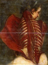 Der gehäutete Engel, um 1745