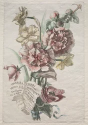Verschiedene Blumensträuße: Nr. 1 - Stockrosen und Narzissen
