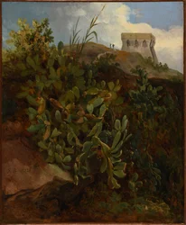 Turm und Kaktus
