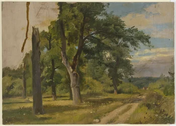 Waldlichtung